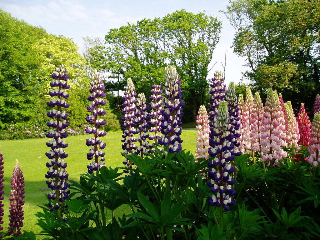 Foxcroft Bed & Breakfast Millom Eksteriør bilde
